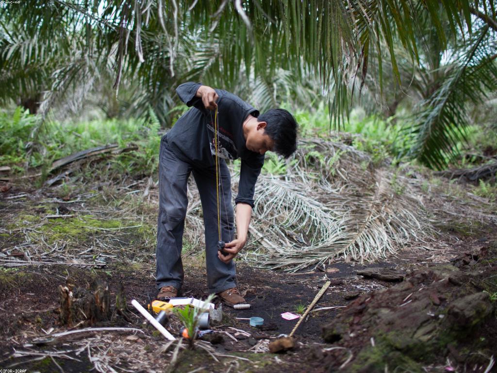 យុទ្ធសាស្ត្រដើម្បីកែលម្អខ្លួនឯង